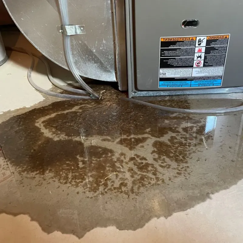 Pipe Burst and Leak Restoration in Warren, MI
