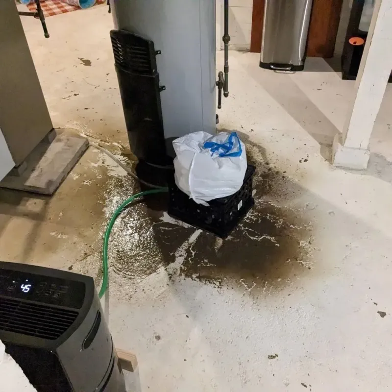 Sewage Backup Cleanup Service in Warren, MI
